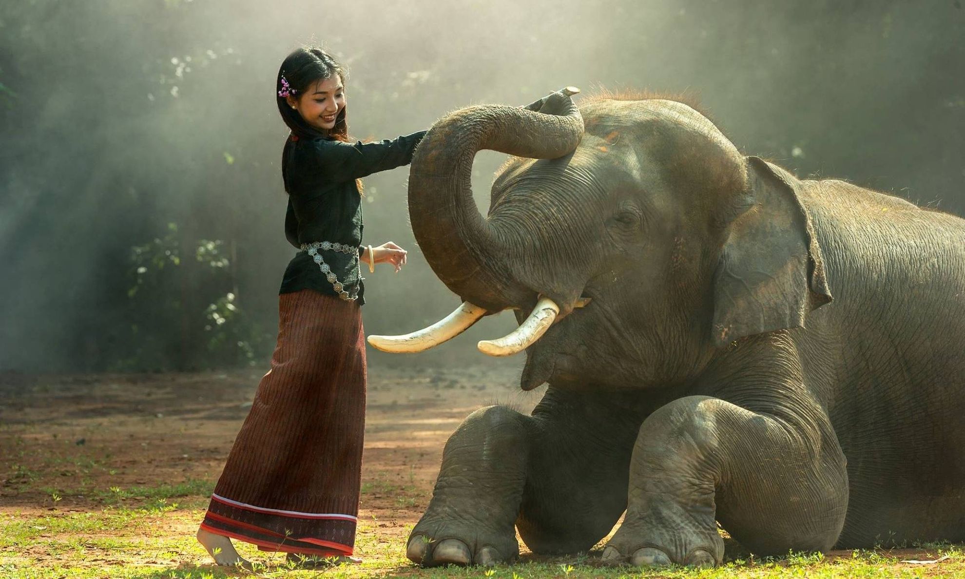 Азия, девушка гладит слона